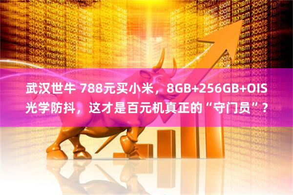 武汉世牛 788元买小米，8GB+256GB+OIS光学防抖，这才是百元机真正的“守门员”？